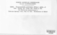 Image Associated With the Occurence